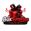 Boxsurprise  - Accueil